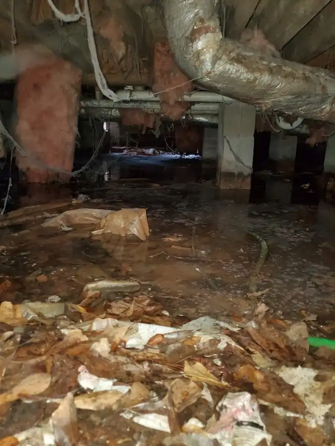 Crawl space flood assessment for Leak Detection & Repair in Country Club Estates