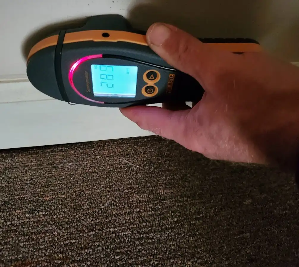 Moisture detection at baseboard during Mold Inspection & Testing in Country Club Estates